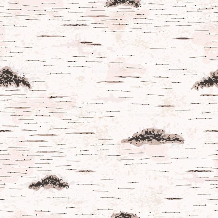 Береста березы вектор