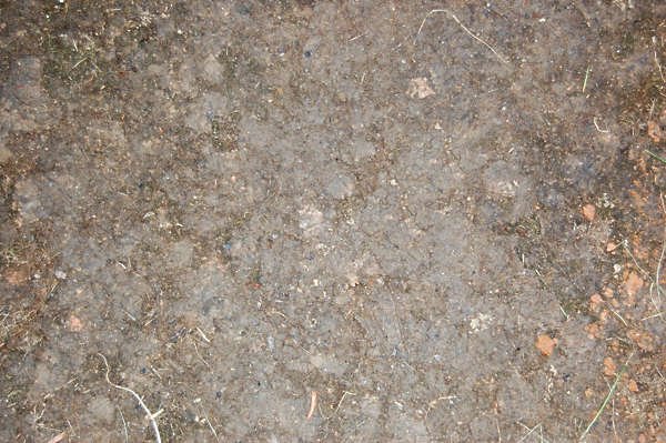 Текстура земли