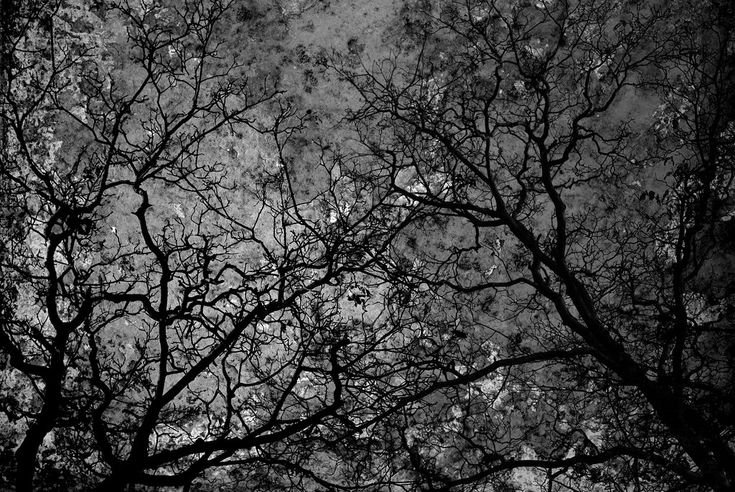 Готические текстуры для фотошопа