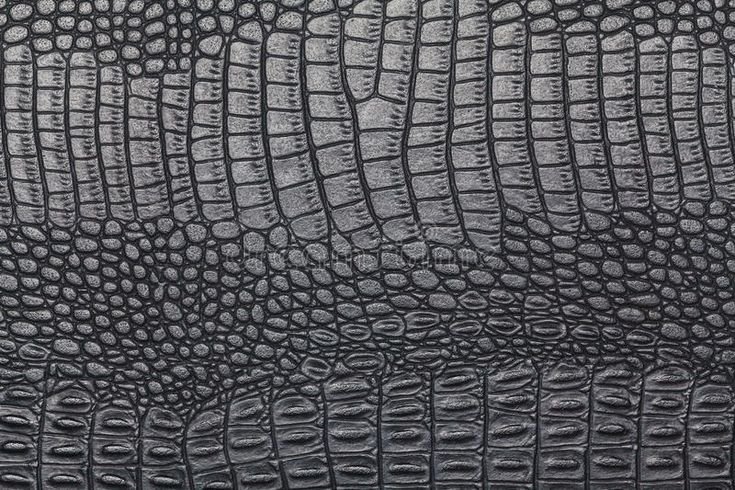 Кожа крокодила текстура