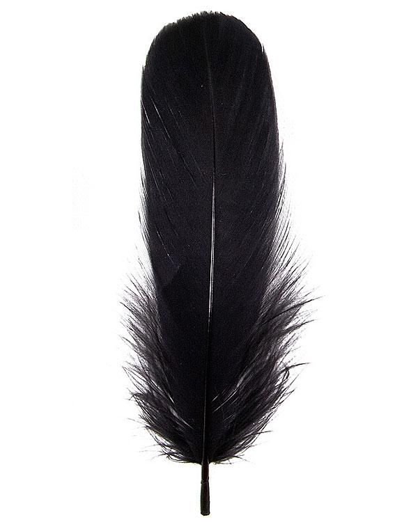 Черные перья