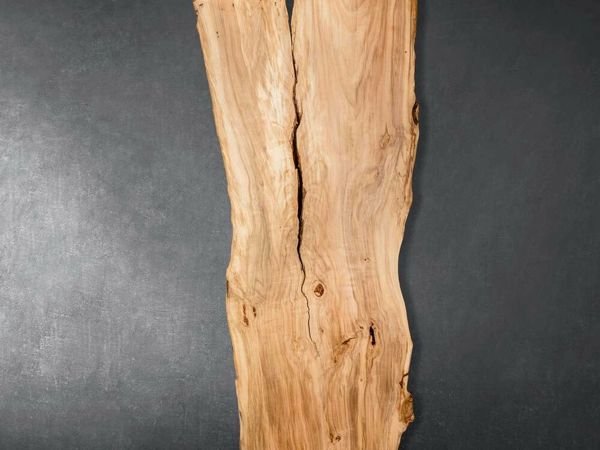 Ливанский кедр слэб