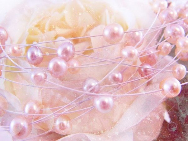 Розовый жемчуг