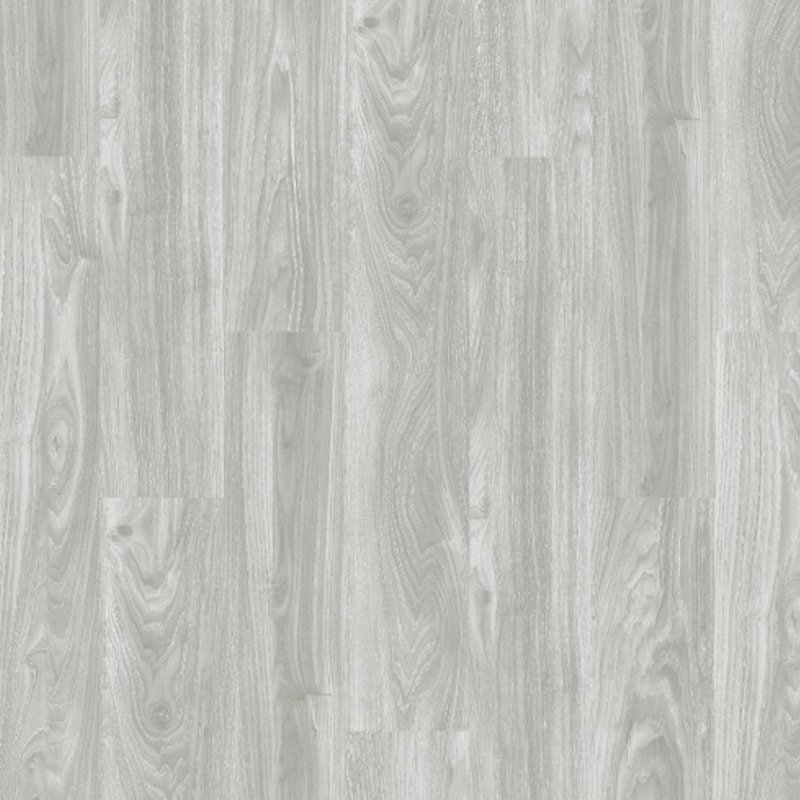 Шпон дуб Сильвер Вудсток