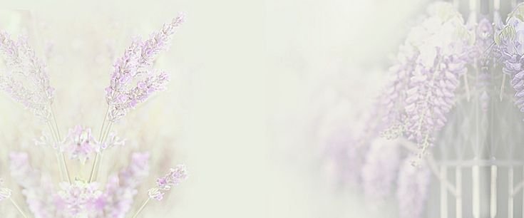 Светлый фон