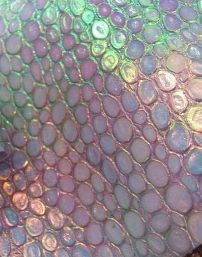 Перламутровая чешуя
