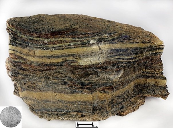 Роговик метаморфическая Горная порода