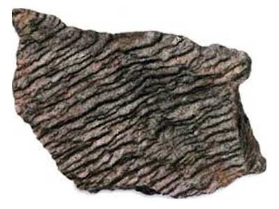 Метаморфические сланцы