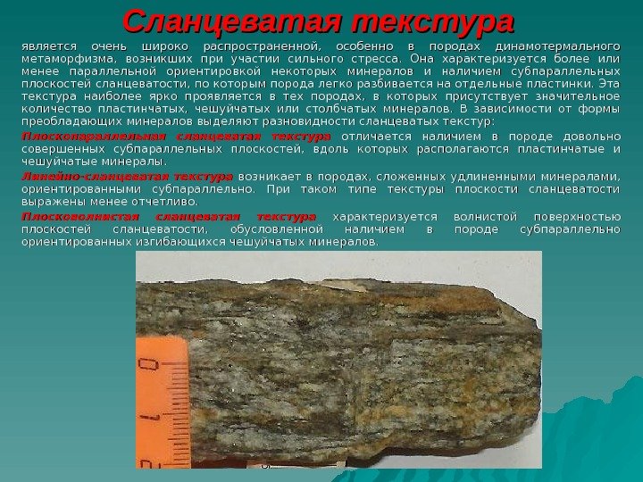 Сланцеватость метаморфических пород