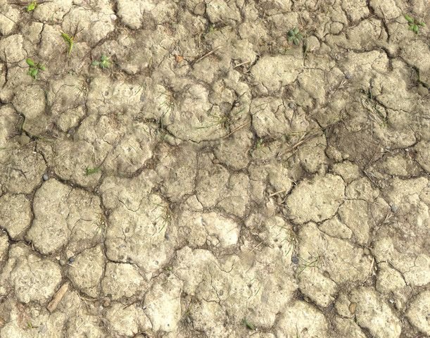 Текстура земли бесшовная