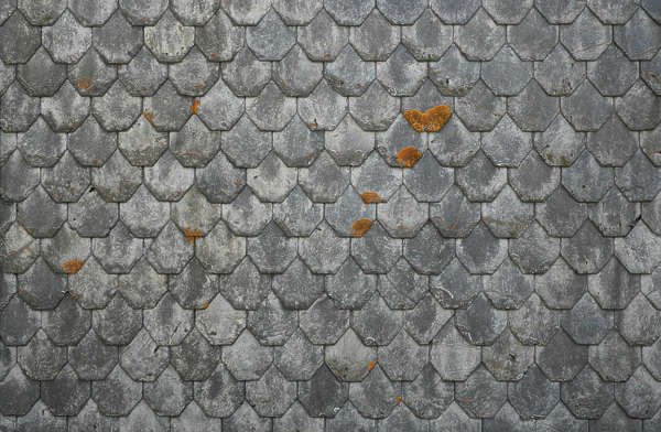 Черепица 3д Макс корона