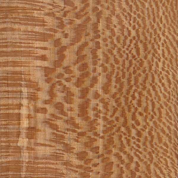 Платан структура древесины