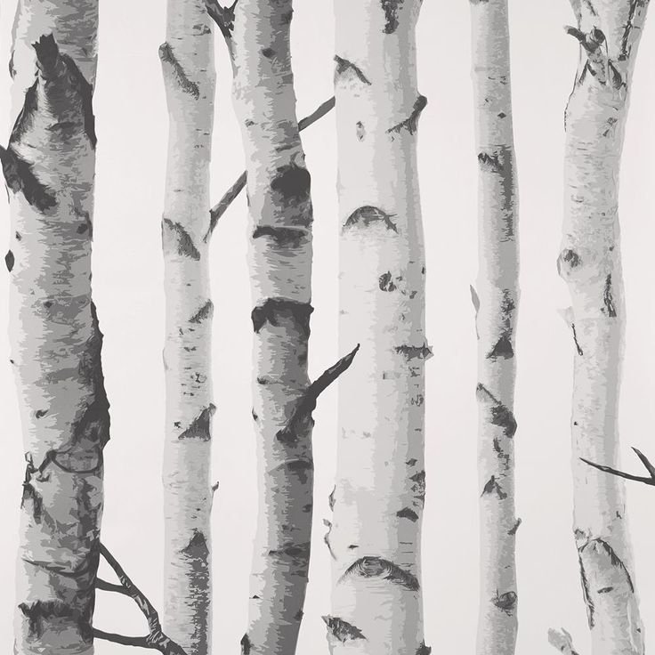 Береза паттерн