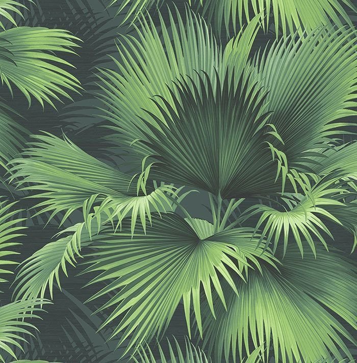 Пальмовые листья