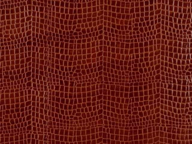 Кожа крокодила текстура