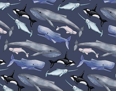 Паттерн киты