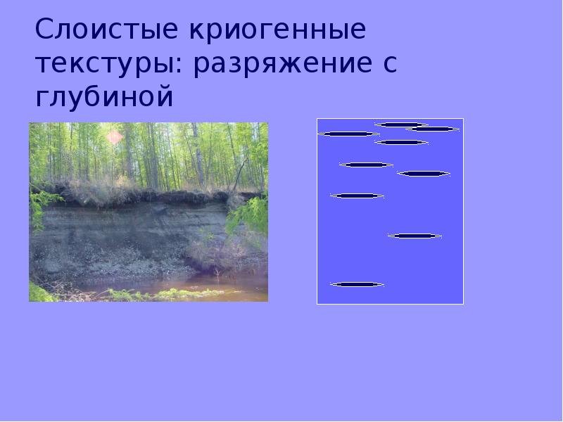 Криотекстуры мёрзлых грунтов