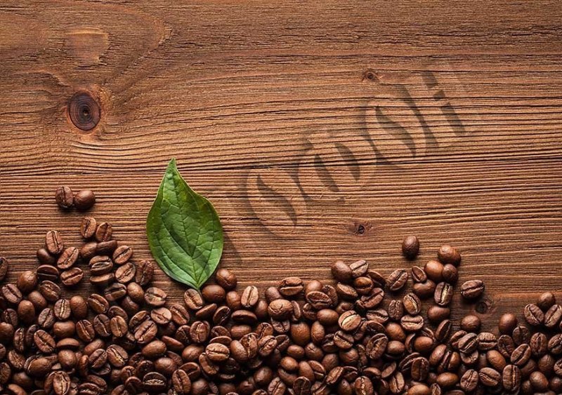 Обои на рабочий стол дерево