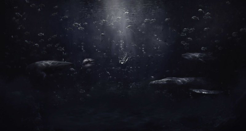 Темные глубины океана