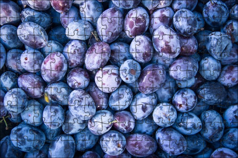 Слива ВИЗИОН