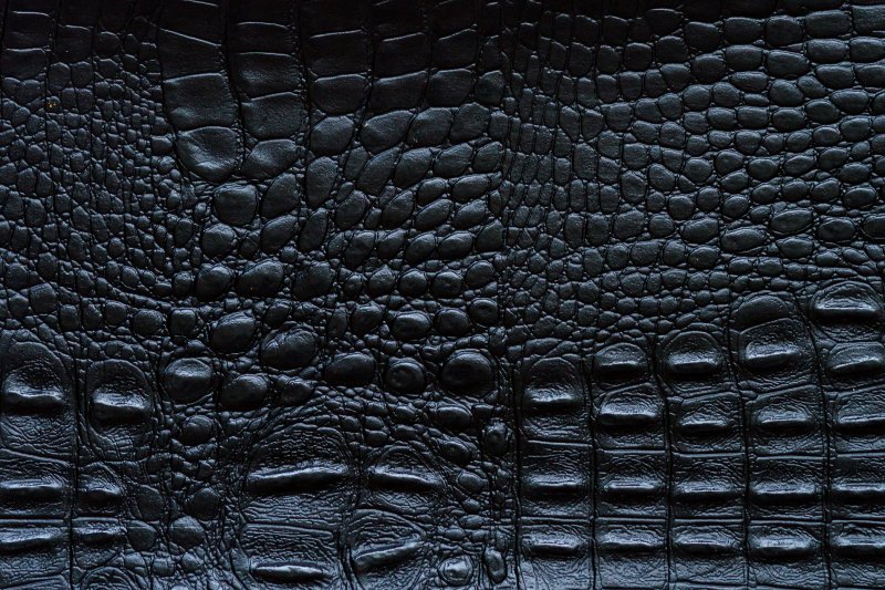 Кожа нильского крокодила