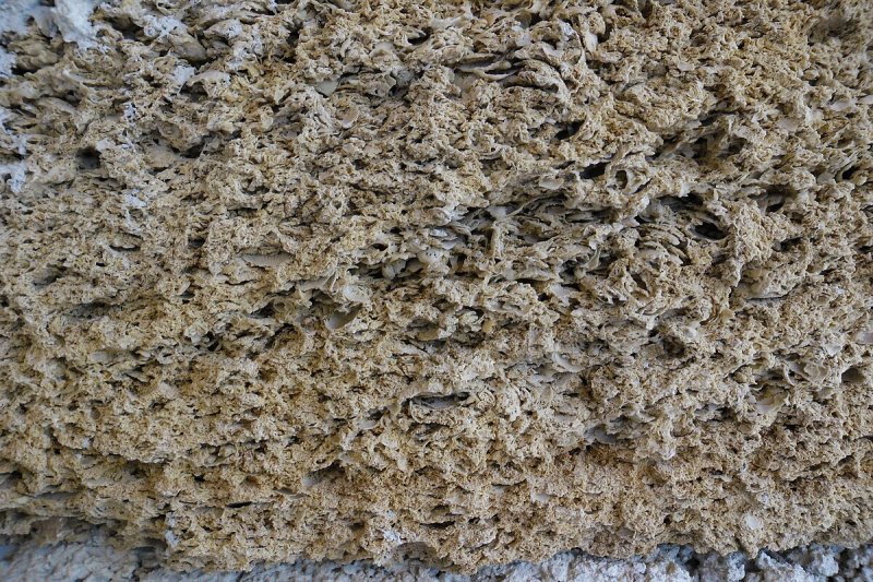 Джангинский ракушечник