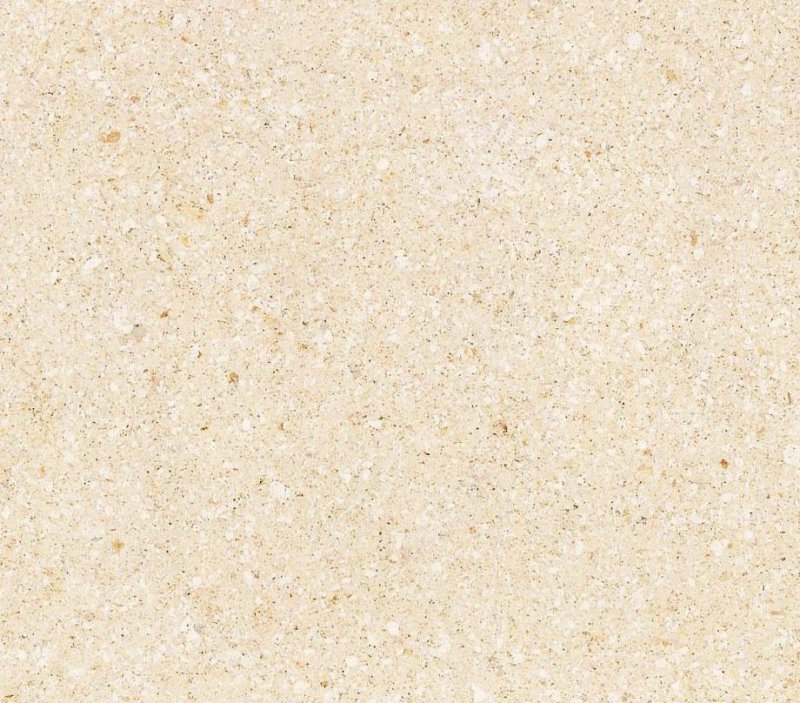 Известняк ракушечник текстура