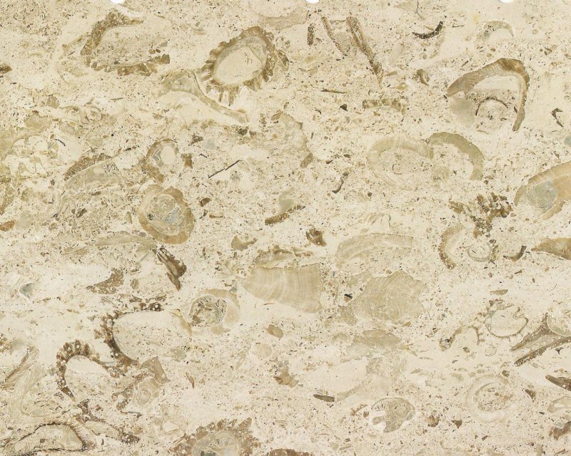 Травертин ракушечник