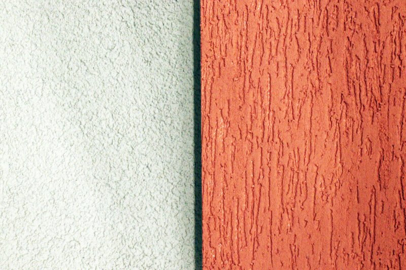 Короед барашек