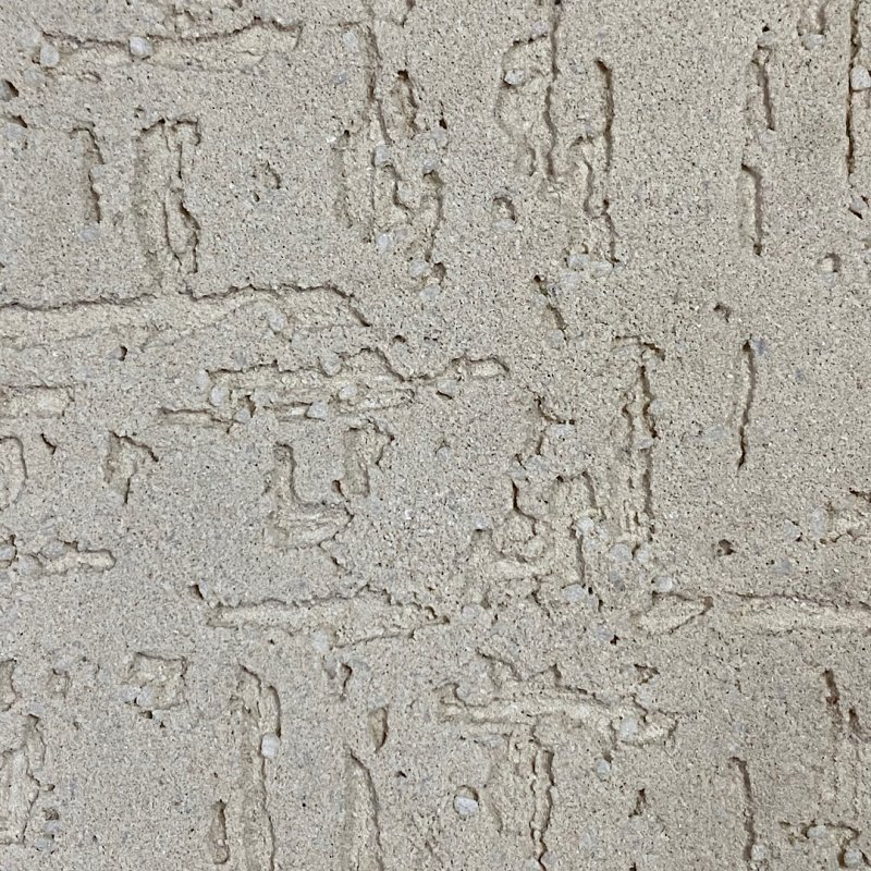 Текстура короед