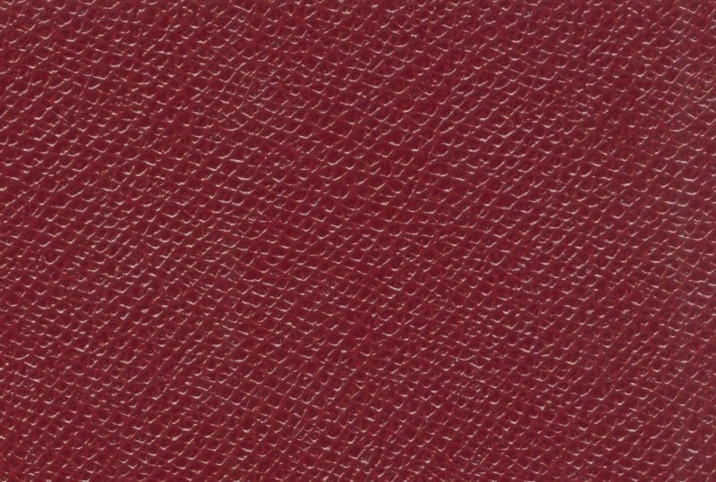Красная кожа текстура