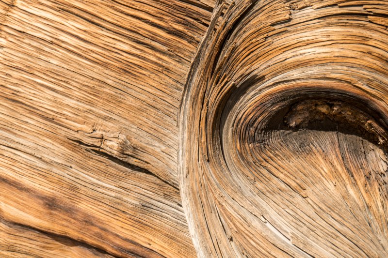 Можжевельник древесина