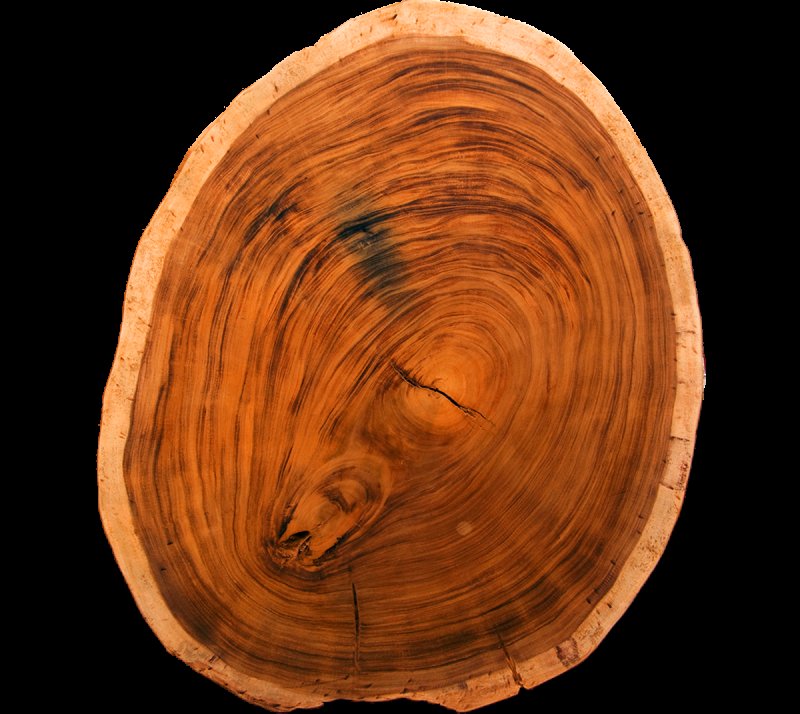 Можжевельник текстура древесины