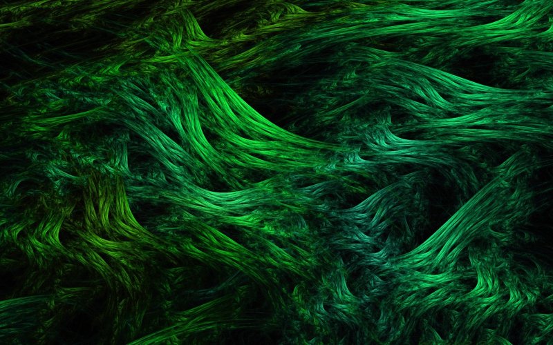 Морские зеленые водоросли