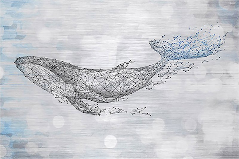 Кит абстракция