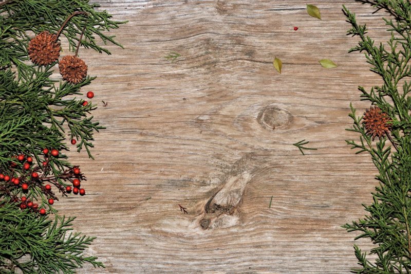 Фон для меню