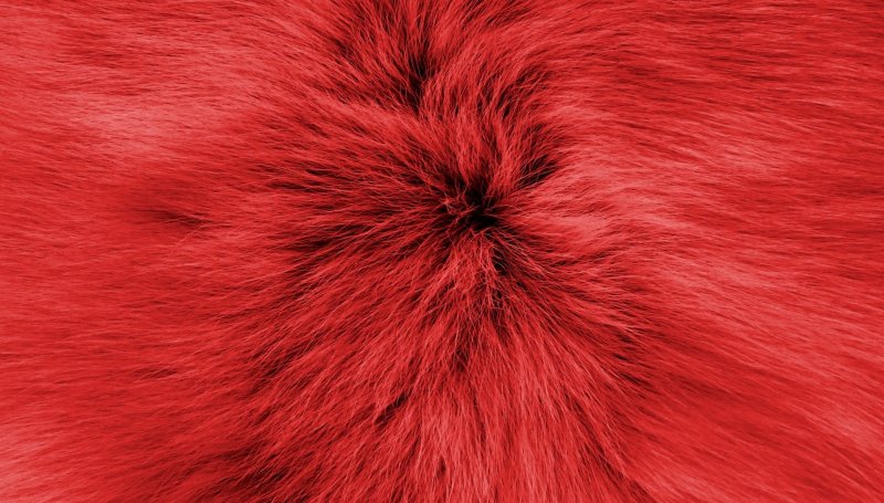 Мех текстура