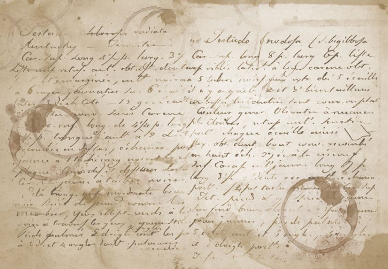 Старая бумага