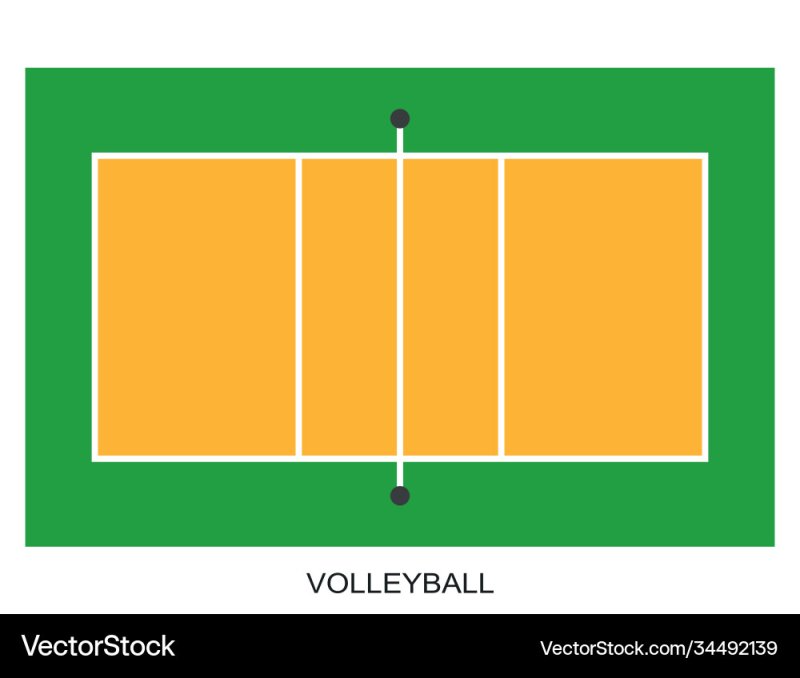 Волейбольная площадка вид сверху