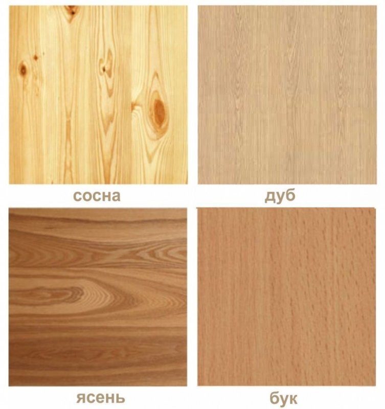 Ясень дуб бук лиственница сосна
