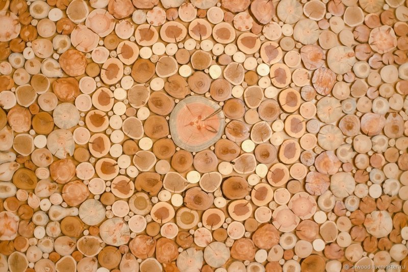 Спил дерева