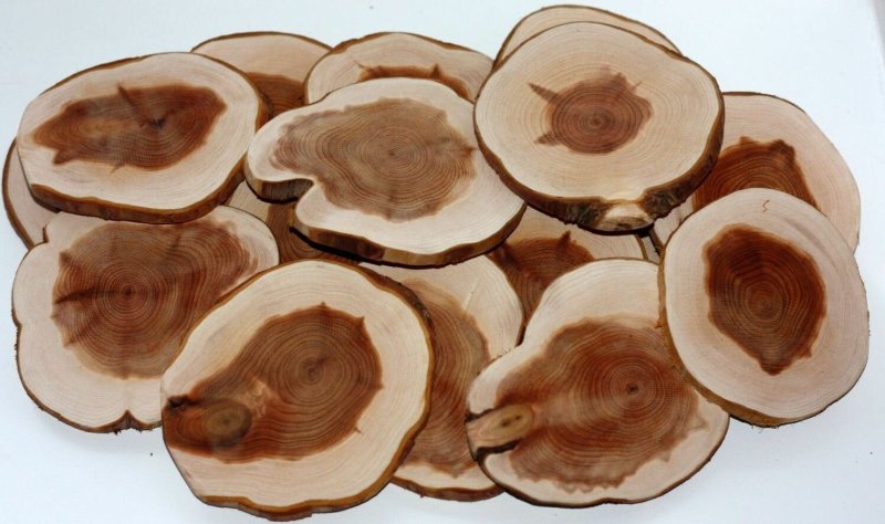 Срез можжевельника