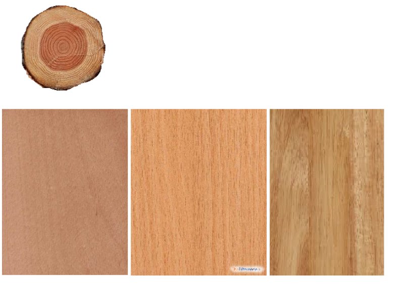 Бук цвет древесины