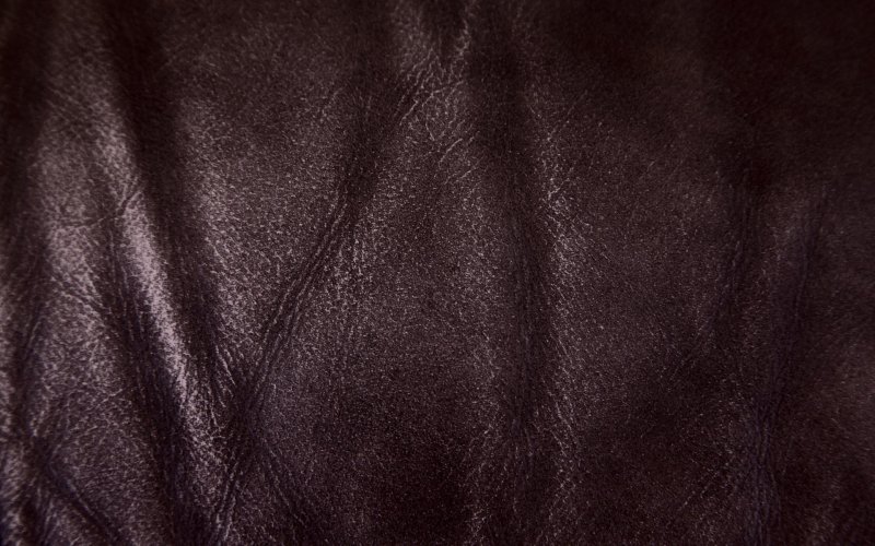 Текстура кожи