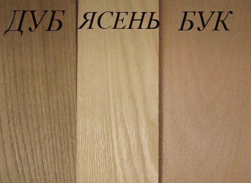 Дуб бук ясень