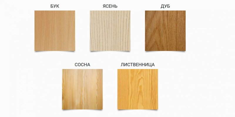 Ясень дуб бук лиственница сосна