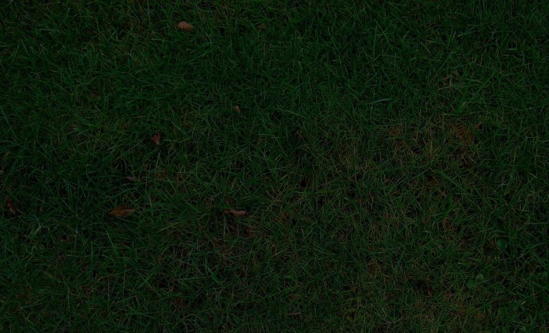Газон текстура