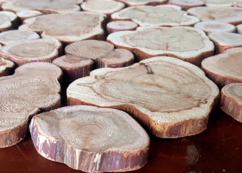 Спил можжевельника