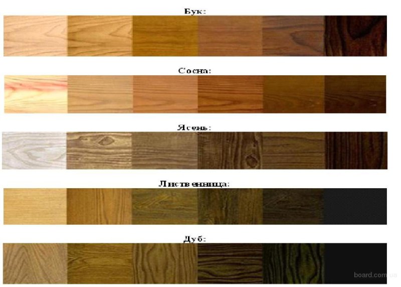 Цвет древесины разных пород