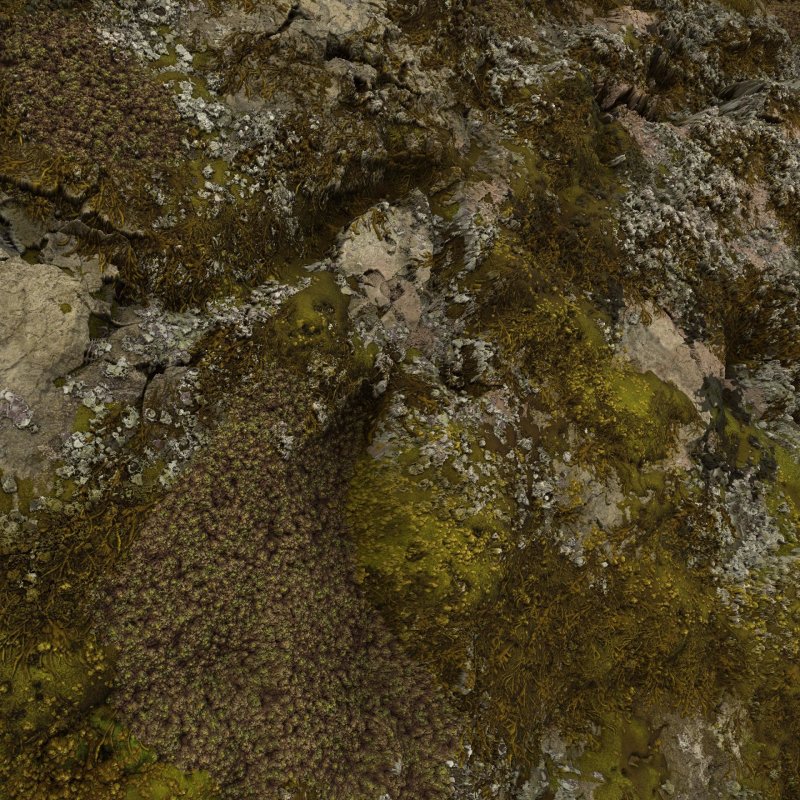 Текстура болота